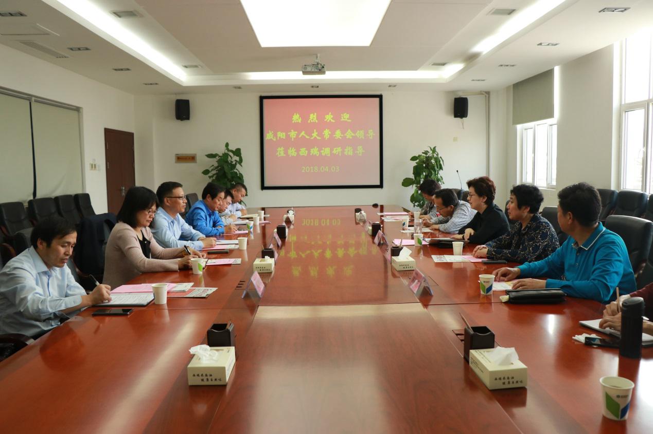 咸陽市人大黨組副書記、副主任肖芳到西瑞集團考察調(diào)研
