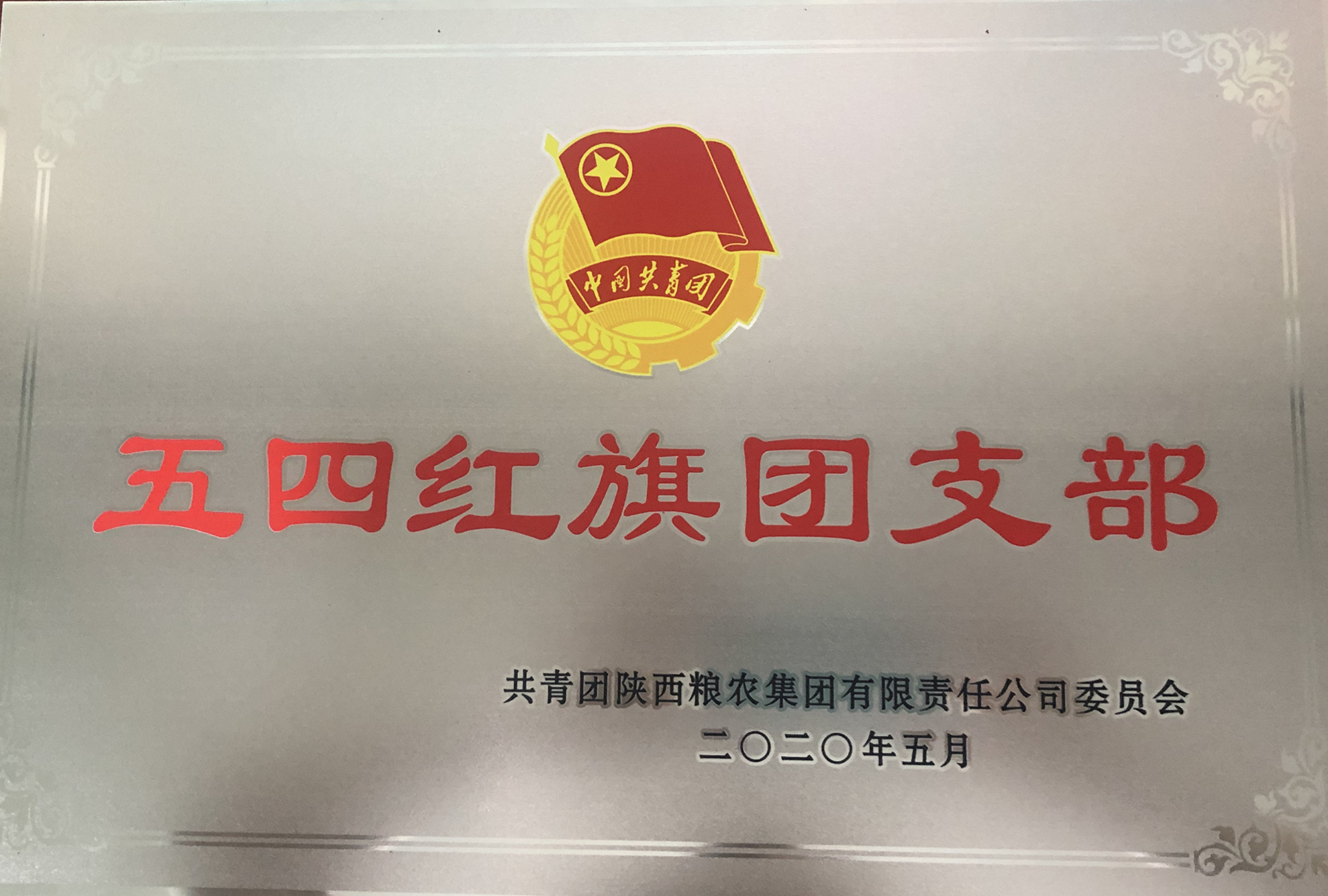 喜報(bào)！五四青年節(jié)，油脂集團(tuán)多位青年喜獲陜西糧農(nóng)集團(tuán)榮譽(yù)！