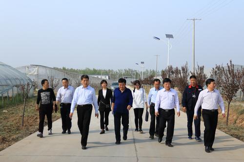 省農業(yè)廳園區(qū)辦主任竇紅新一行到朝邑農場指導工作