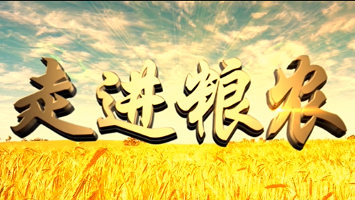 4分鐘，閱讀奮斗崛起中的糧農(nóng)集團(tuán)！