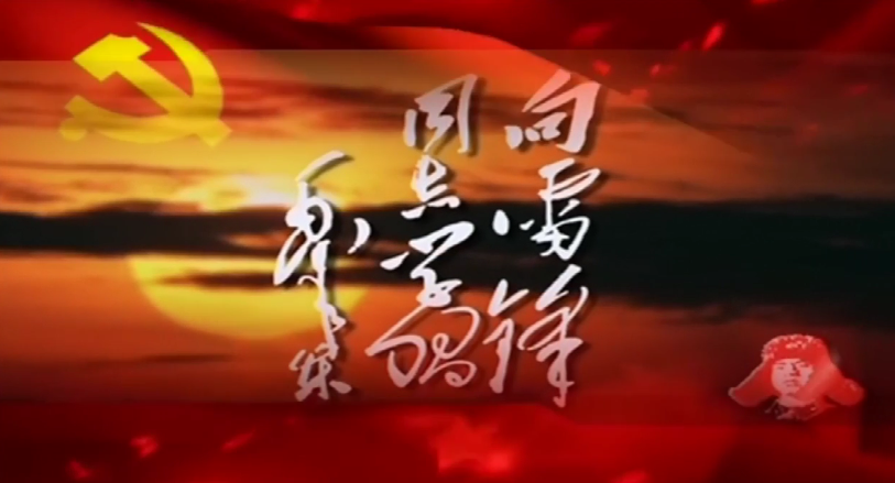   “學(xué)雷鋒，在行動(dòng)”——陜儲(chǔ)糧集團(tuán)華州庫學(xué)雷鋒青年說