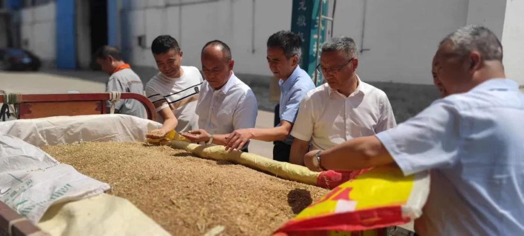 劉利民深入庫(kù)點(diǎn)調(diào)研夏糧收購(gòu)工作