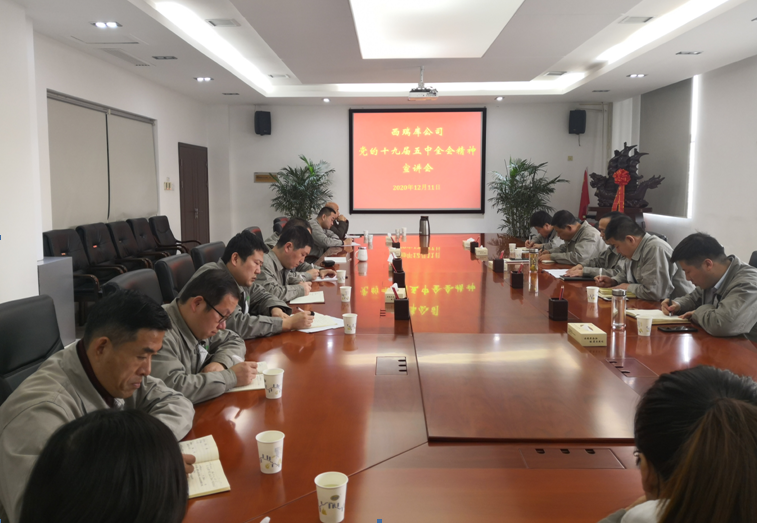 西瑞集團(tuán)：西瑞儲(chǔ)備庫(kù)公司開(kāi)展黨的十九屆五中全會(huì)精神宣講